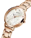GW0242L3_E.webp