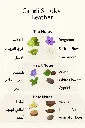 6294560745736.webp