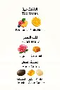 6295700741736.webp