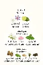 3340439239280.webp