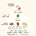 6295887100248.webp