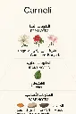 6295884457840.webp