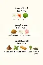 6295884811284.webp