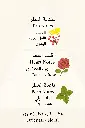 3346772159636.webp