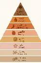 701666410454.webp