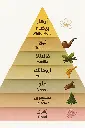 701666410270.webp