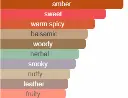 7016663151244.webp