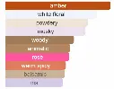 7016664108811.webp
