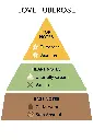70166692755666.webp