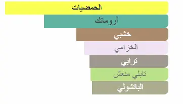 5060524511562.webp