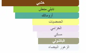 3616303459598.webp