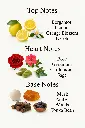 80110038851077.webp