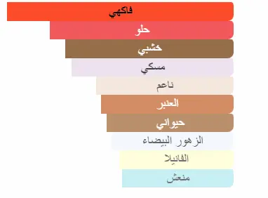 6294015180251.webp