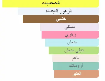 8011003889105.webp