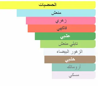 3274872482630.webp
