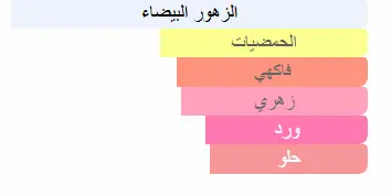 36142269051855.webp