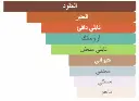 3665543072081.webp