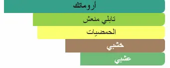 3423470311365.webp