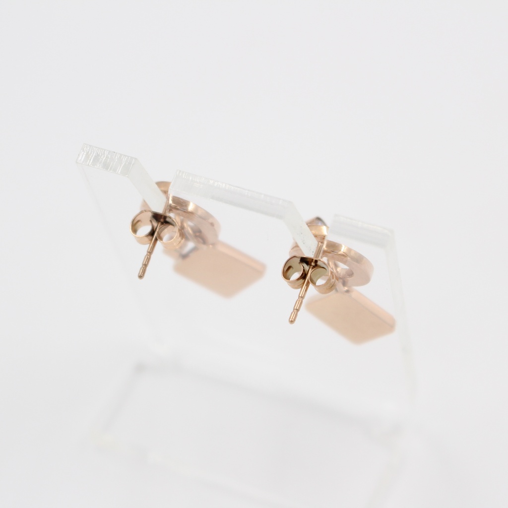 CERRUTI 1881 EARRING C CRJ E221SR