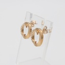 CERRUTI 1881 EARRING C CRJ E003SR
