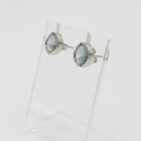 POLICE L VERNAZZA SS EARRING