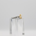 ACCESSORIES CERRUTI 1881 RING 1042