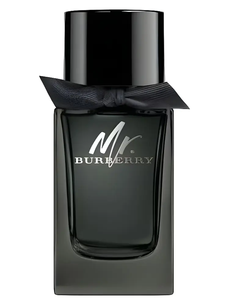 BURBERRY MR. BURBERRY (M) EDP 100ML