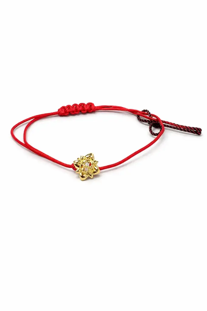 AIGNER THIN BRACELET ARJLB0007101  