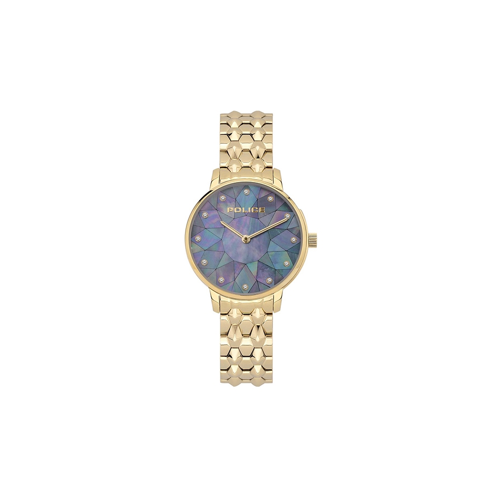 POLICE MENS WATCH GOLD DIOMONDS PL.15700LSG/D58M