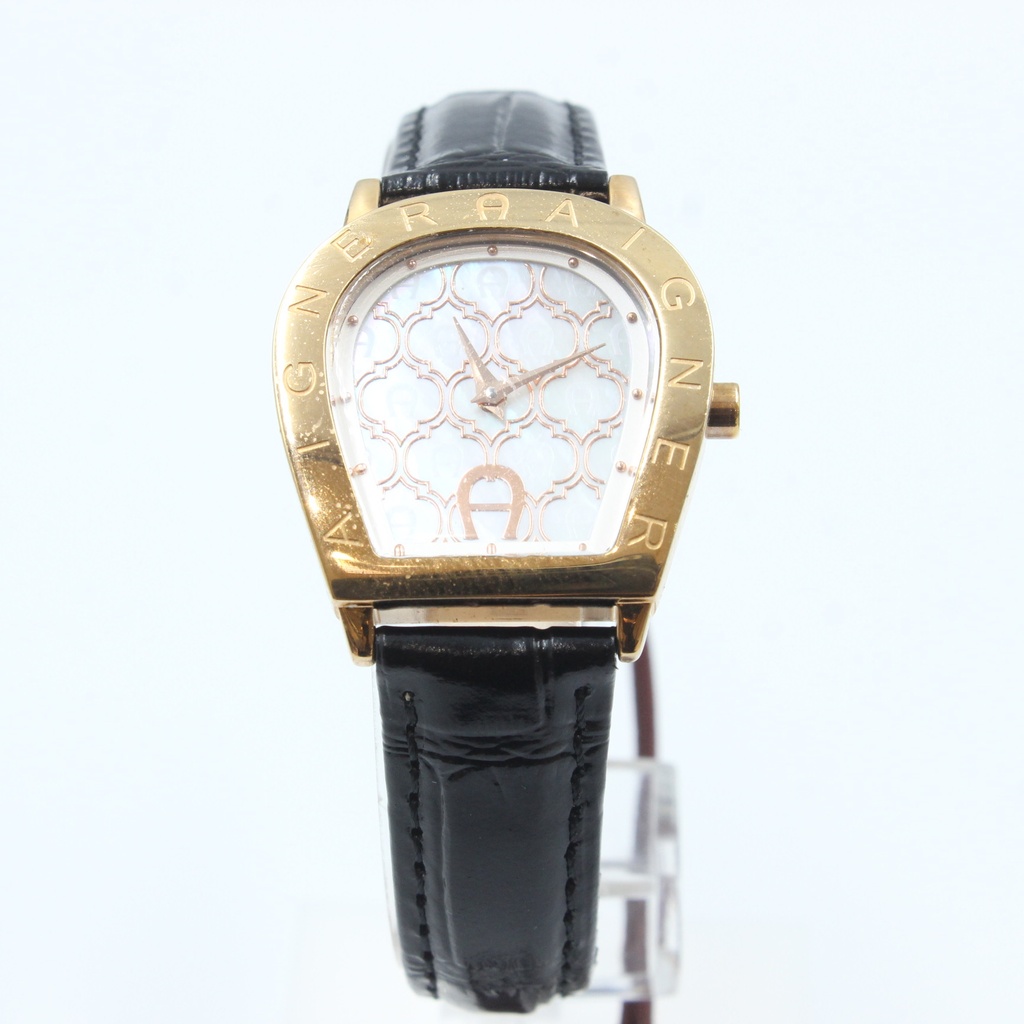 AIGNER WATCHE STAINLESS STEEL A32200