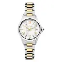 CERRUTI 1881 WATCH (W) CIWLG2206003