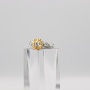 ACCESSORIES CERRUTI 1881 RING 1042