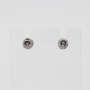 ACCESSORIES AIGNER SILVER 925 EARRINGS 1096