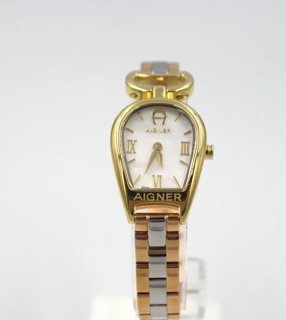Aigner Watch A32200