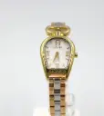Aigner Watch A32200