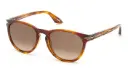 Longines Sunglasses LG0001-H 53G Light Brown
