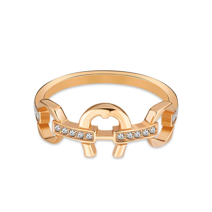 AIGNER RING ARJLF2101203