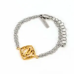 Police Woman's Bracelet PJ25598BSSG/01 