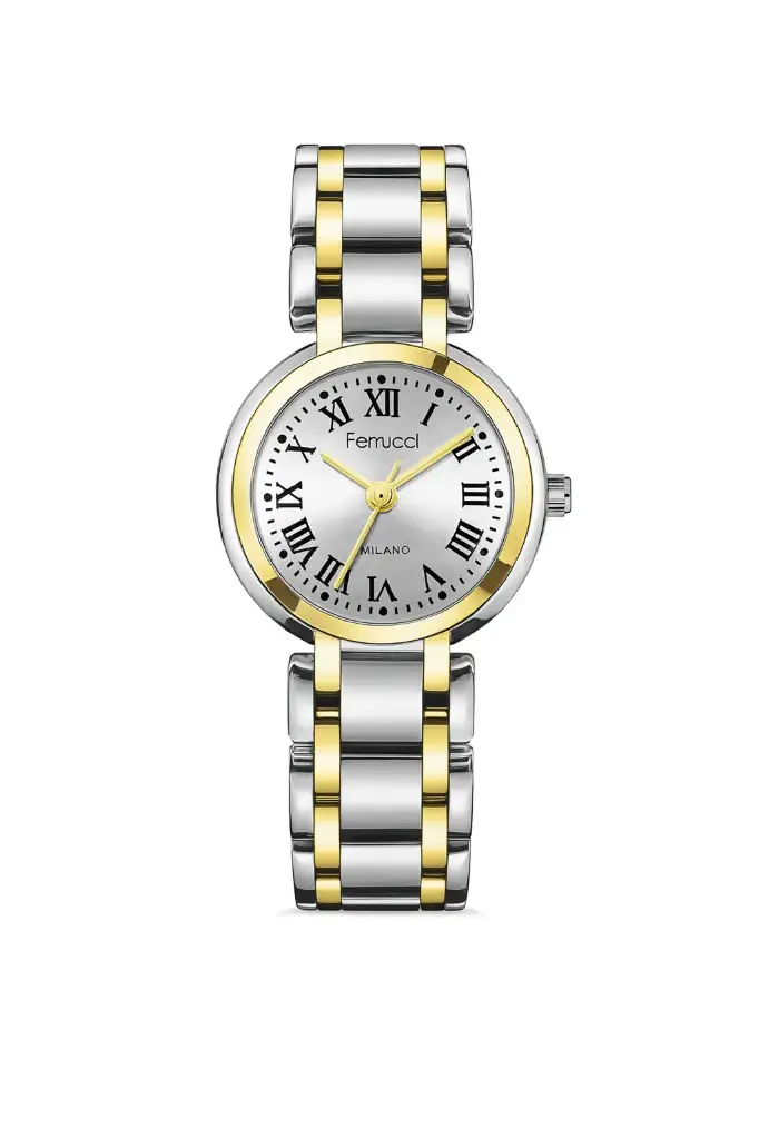 FERRUCCI STAINLESS STEEL WATCH FCFQC09