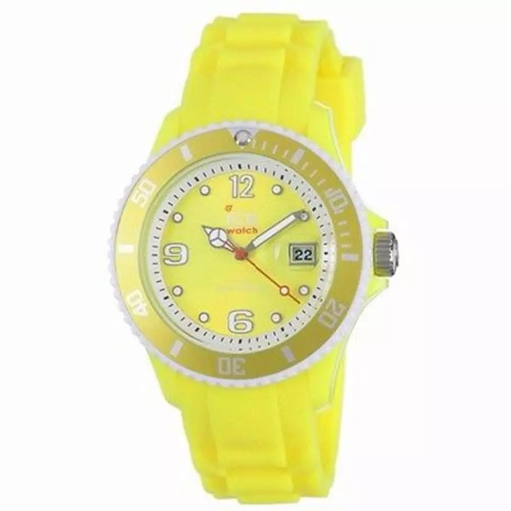 ICE WATCH SUN.NYW.U.S.13