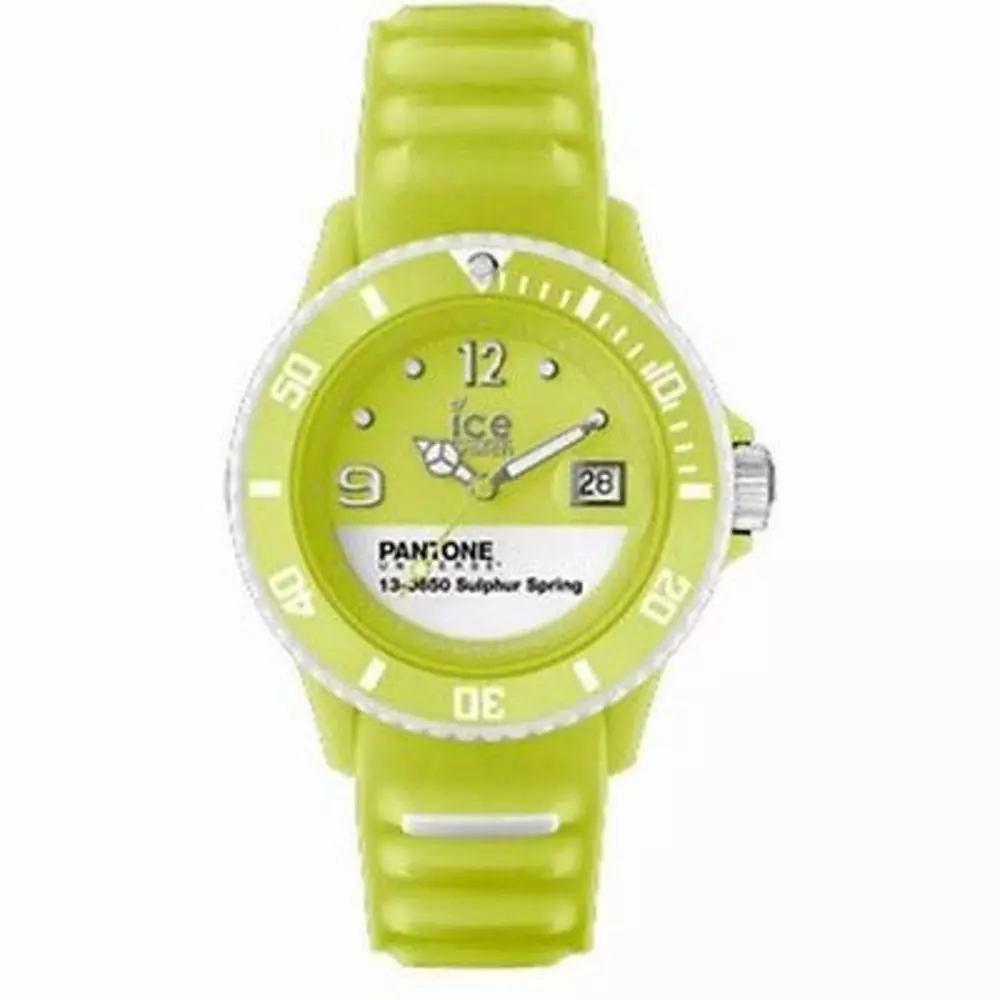 ICE WATCH SUS.U.S.13