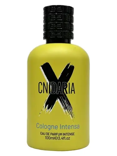 Samam Cnidaria X Cologne Intense Edp100 ml Perfume