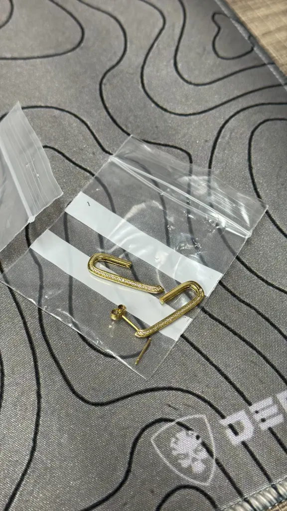 Earring EAR003