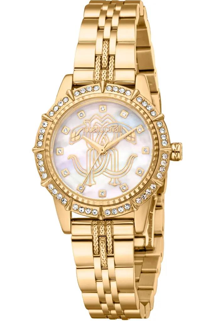 ROBERTO CAVALLI WATCH RC5L079M0055