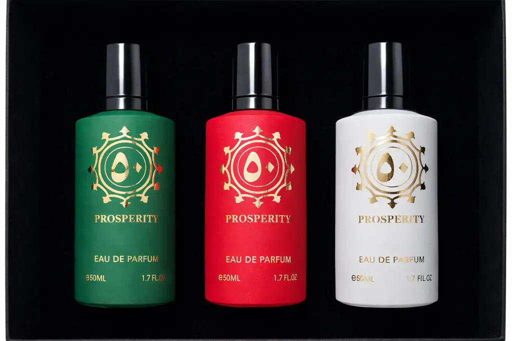 TOP PERFUMES EAU DE PARFUM 3PCS SET
