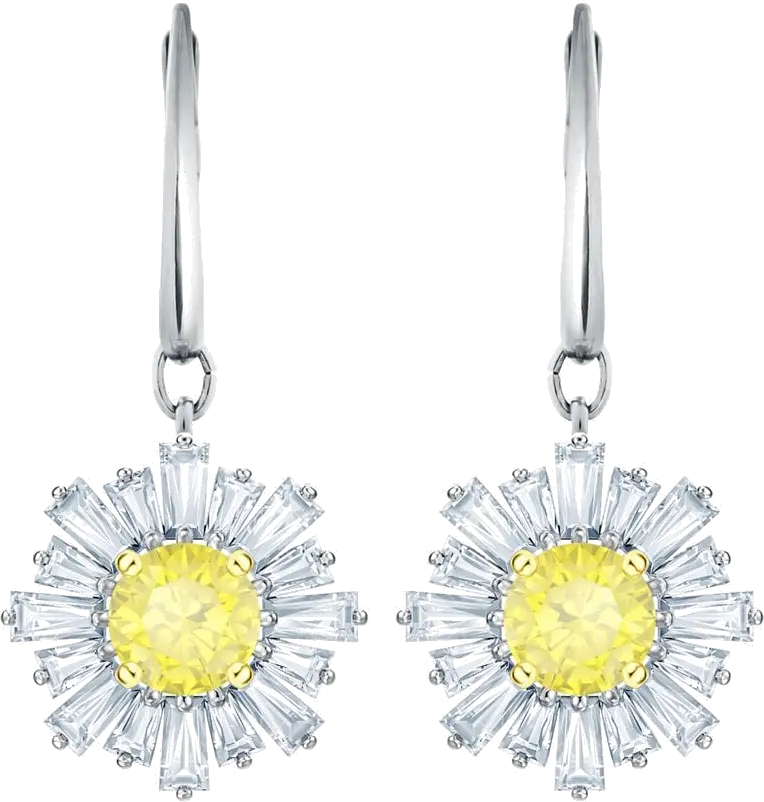 Swarovski Women's Earrings 55479914