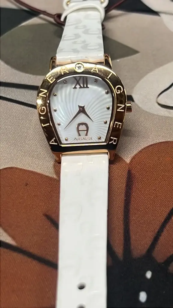 AIGNER WATCH M A32270B