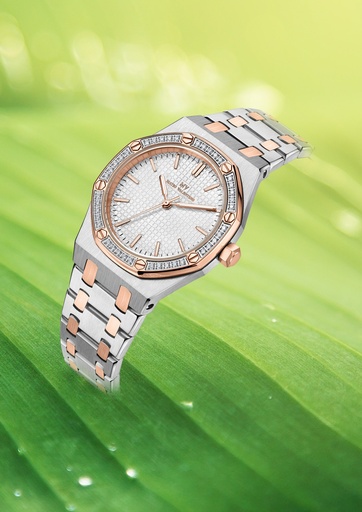 [MV6565L-8] MATIO VALENTINO (W) WATCH 2 TONE 3D DIAL