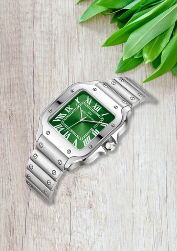 [MV6556G-2] MATIO VALENTINO (M) WATCH SILVER GREEN DIAL