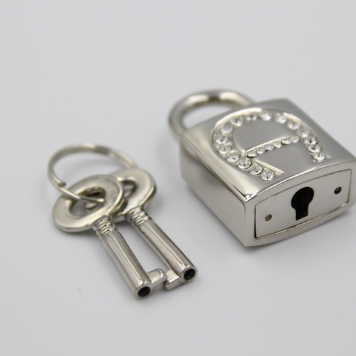 ACCESSORIES AIGNE Rlock and key